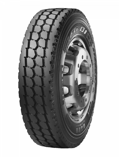 FG01S